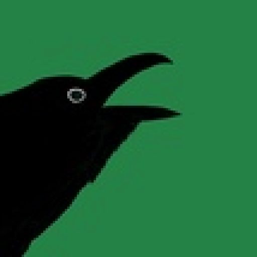 Rabe mit geöffnetem Schnabel vor grünem Hintergrund